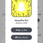 Abaya Roz Profile Picture