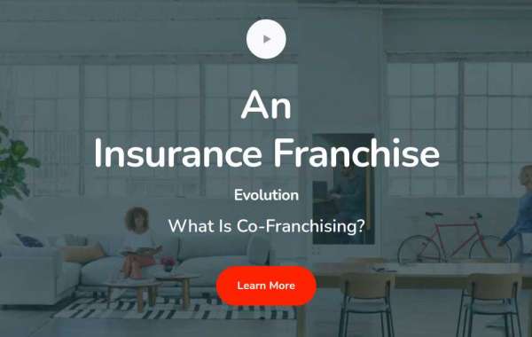Insurance company franchise