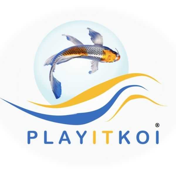 playitkoi Profile Picture
