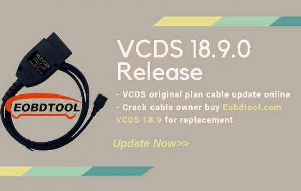 vcds lite 1.2 license vcds lite 1.2 license