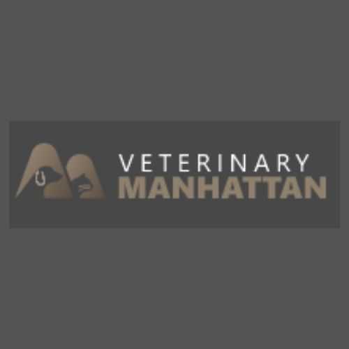 PET GROOMING IN MANHATTAN Profile Picture