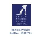 BEACH AVENUE ANIMAL HOSPITAL Profile Picture