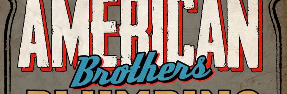 American Brothers LLC Cover Image