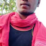 Dhanesh kumar Profile Picture