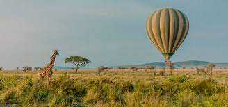 Tanzania Safari Zanzibar Profile Picture