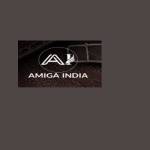 Amigaindia Profile Picture