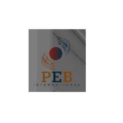 peb technical services Profile Picture