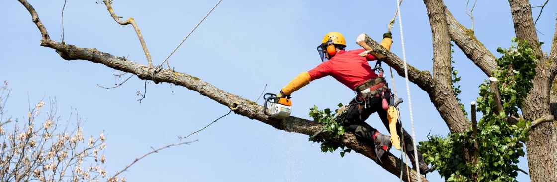 Patriot Tree Service Cover Image