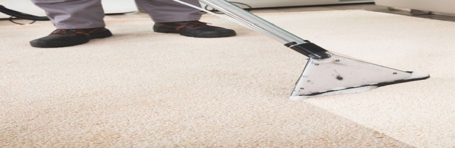 Sandyford Carpet Cleaning Cover Image