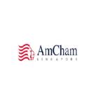 The American Chamber of Commerce in Singapore Profile Picture