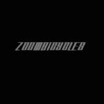 ZOOMBICYCLES Profile Picture