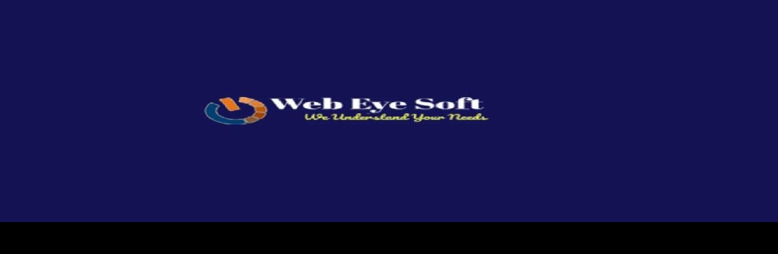 Web Eye Soft Cover Image