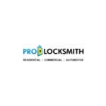 Pro Locksmith LLC Profile Picture
