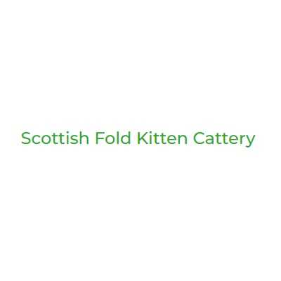 Scottish Fold Kitten Cattery Profile Picture