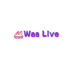 waa live Profile Picture