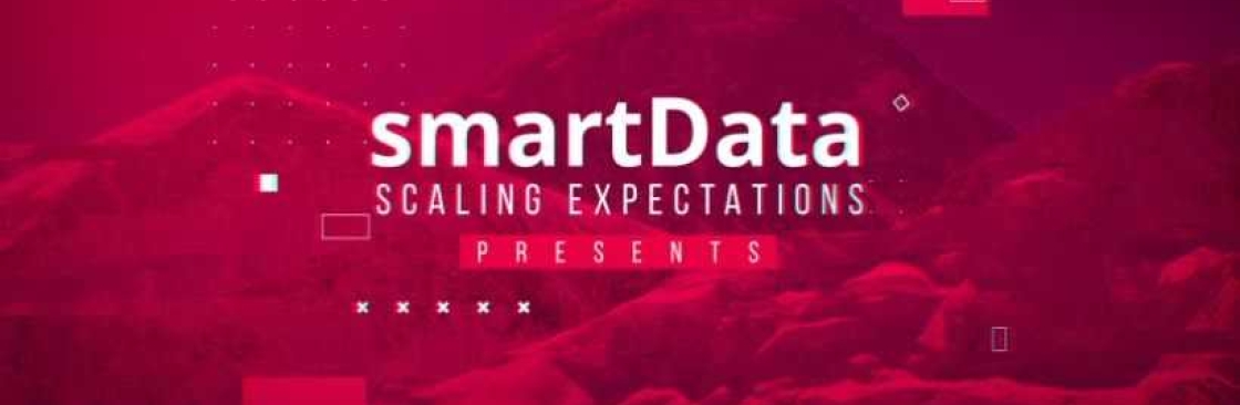 smartData Enterprises Inc Cover Image