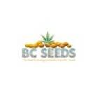 BC Seeds Profile Picture