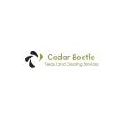 Texas Land Clearing Services ~ Cedar Beetle Profile Picture