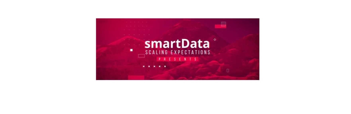 smartData Inc Cover Image