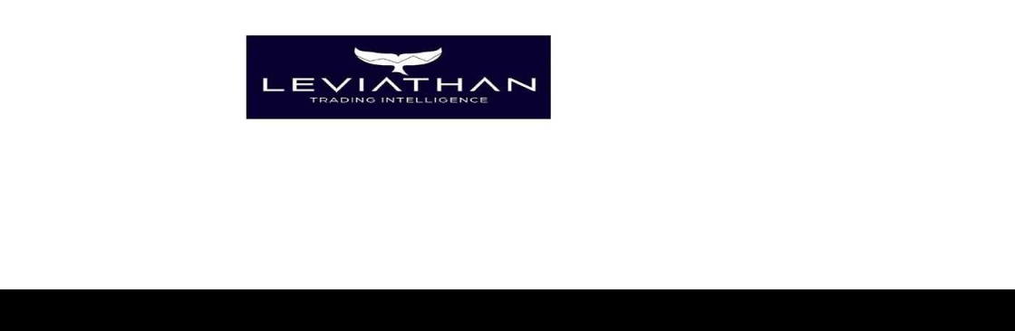 Leviathan Financial Management LLC Cover Image