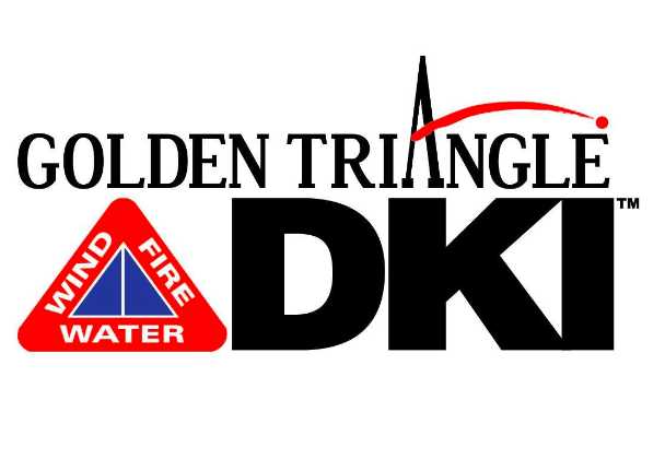 Golden Triangle DKI Profile Picture