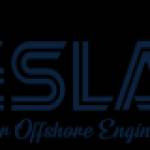Tesla Outsourcing Services Profile Picture