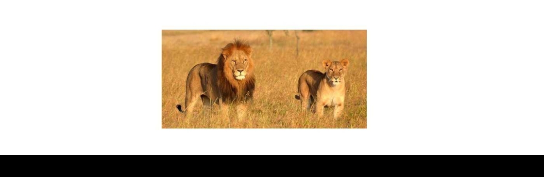 Oribi Safaris Cover Image