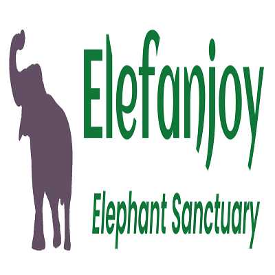 elefan joy Profile Picture