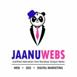 jaanuwebs it solution Profile Picture
