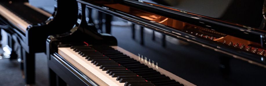 Lyra piano Shop Cover Image