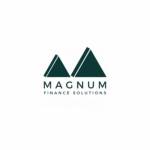 Magnum Finance Profile Picture