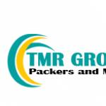 transmoverelocation Packers and Movers Profile Picture