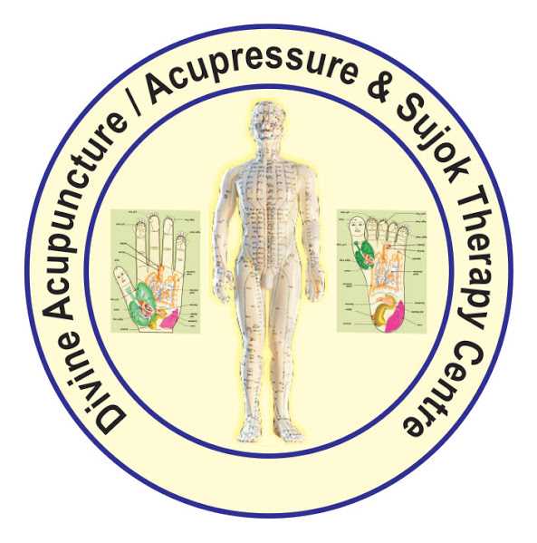 Divine Acupuncture Profile Picture