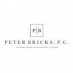 Peter Bricks, PC Profile Picture