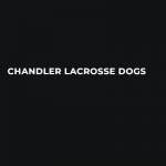 Chandler Lacrosse Dogs Profile Picture