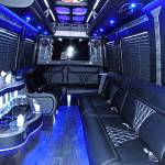 BROOKLYN PARTY BUS RENTAL Profile Picture