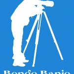 Bongo Banjo Profile Picture