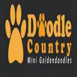 doodlecountryminis Profile Picture