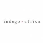 Indego Africa Profile Picture