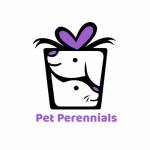 Pet Perennials Profile Picture
