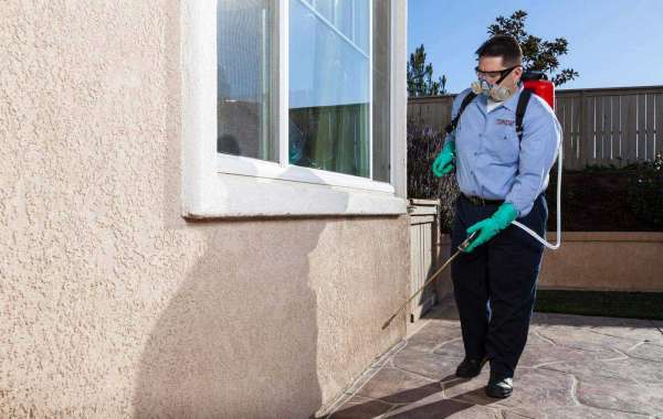 Effective Pest Control Strategies: Ensuring a Pest-Free Environment