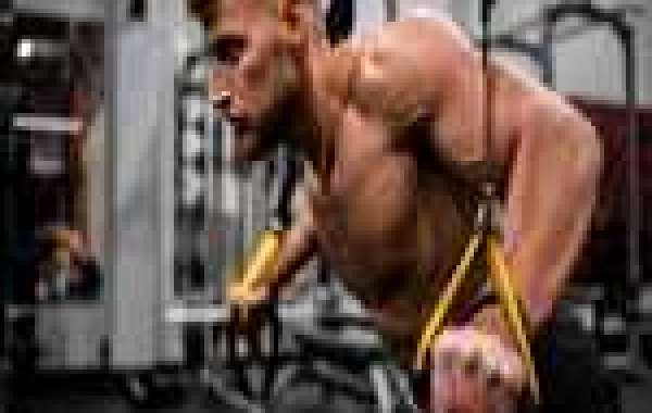 Exploring Testosterone Enanthate: Buying Guide in the UK