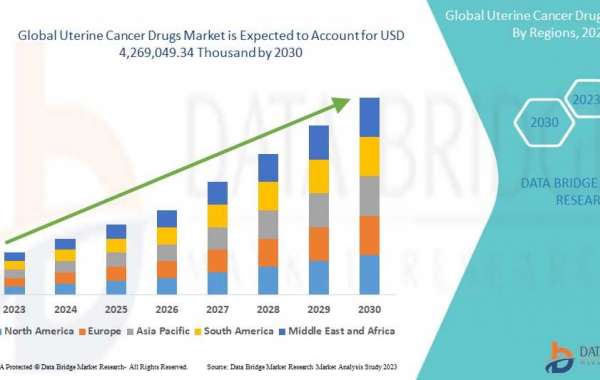 Uterine Cancer Drugs Market: Drivers, Restraints, Opportunities, and Trends By 2030
