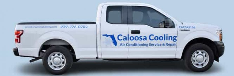Caloosa Cooling Lee County, LLC Cover Image