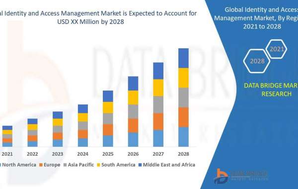Identity and Access Management   Market Overview, Growth Analysis, Trends and  Forecast By 2028