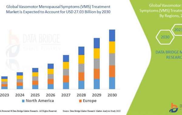 Vasomotor Menopausal Symptoms Treatment Market Is Likely to Grasp the CAGR of 6.20% by 2030, Size, Share, Key Drivers, T