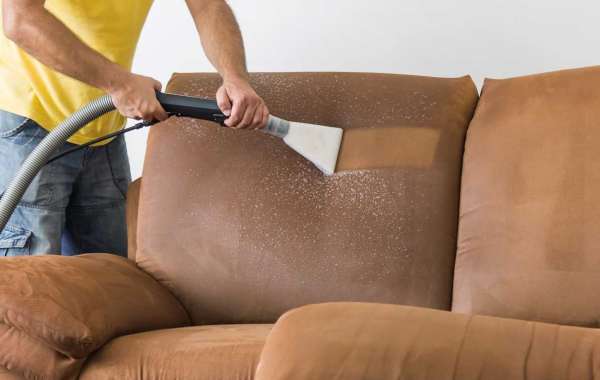 Shop Smart: The Essential Buyer's Guide to Sofa Cleaning Products