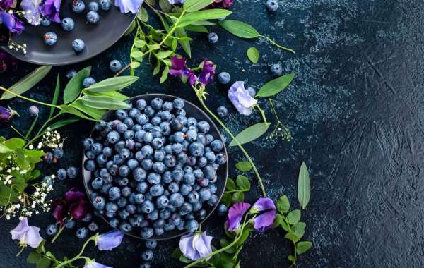 Navigating Growth: The Evolving Dynamics of the Blueberry Ingredients Market Worldwide