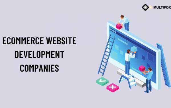 Ecommerce Website Development Company in USA