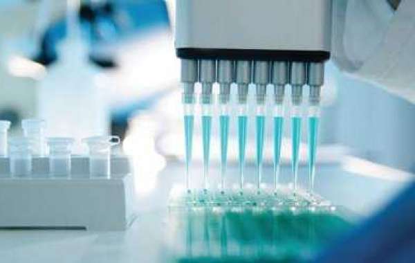Cell-based Assay Market is Estimated to Witness High Growth Owing to Increasing Drug Discovery and Development Activitie